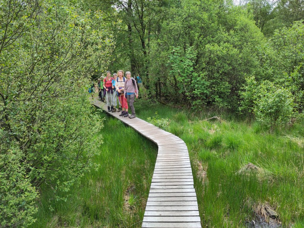 Wandel60plus contact