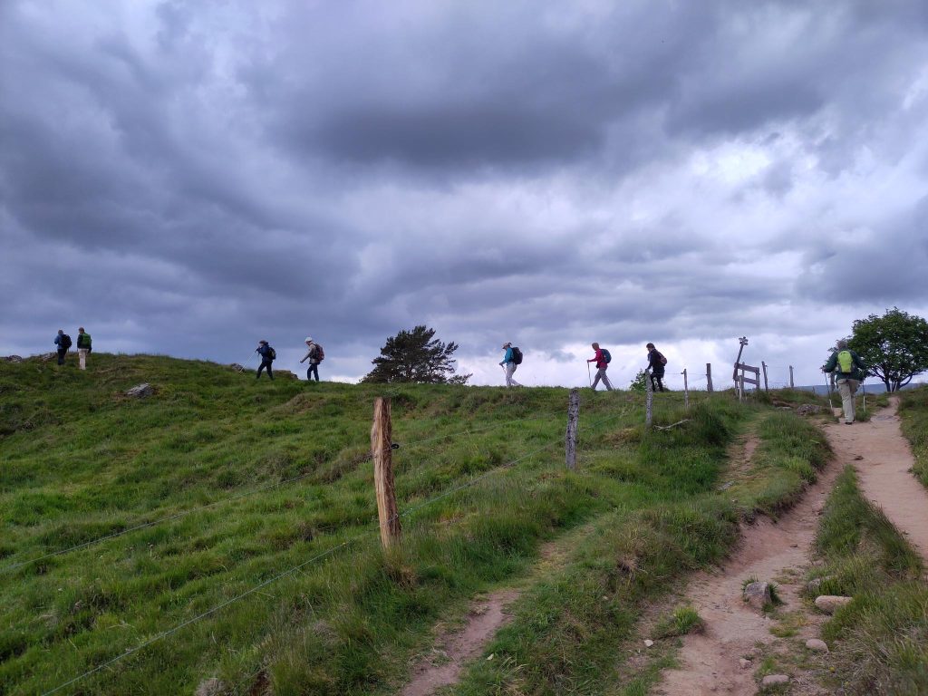 Wandelen