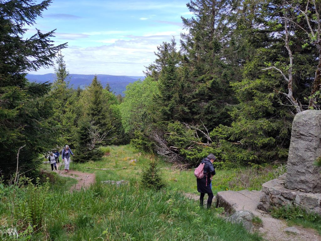 Wandelen-2
