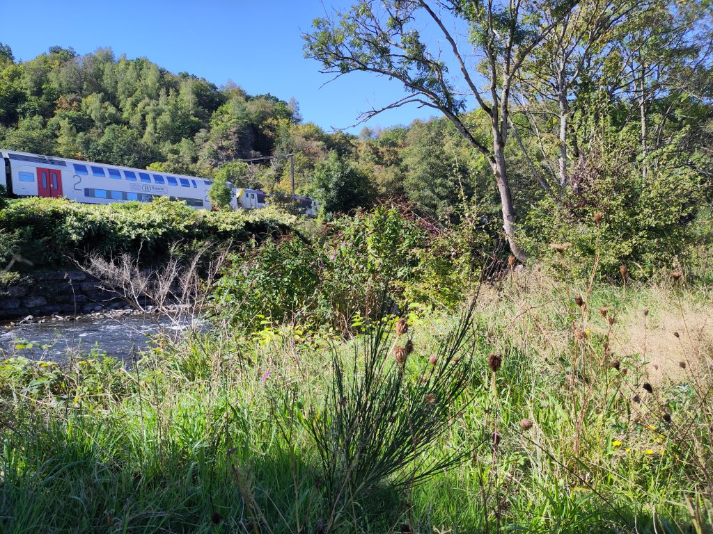 WA2602 Vesdre en trein